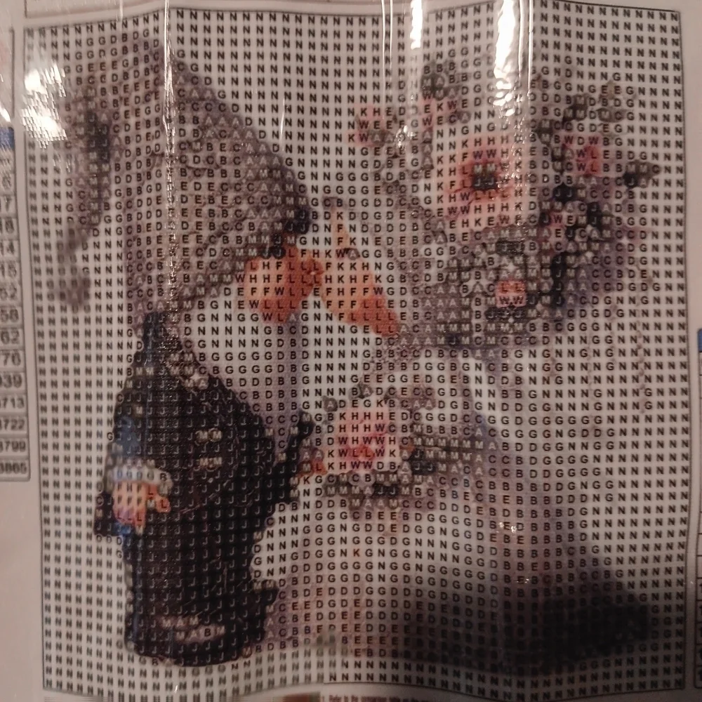 DIY Diamond Painting Kit with Wedding Gnomes Floral Design 20x20